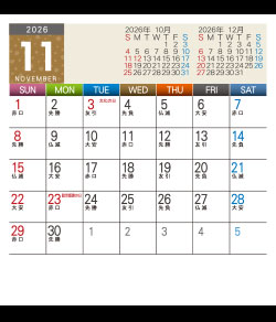 11月