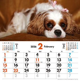 2月