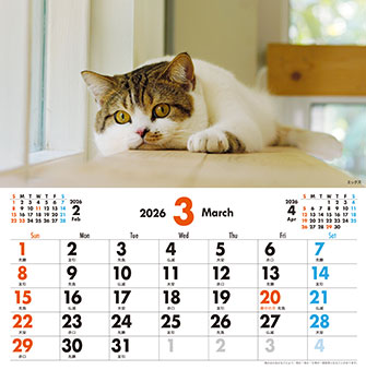 3月