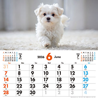 6月