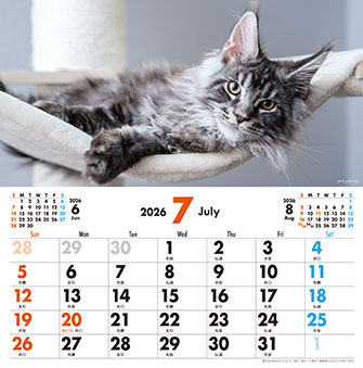 7月