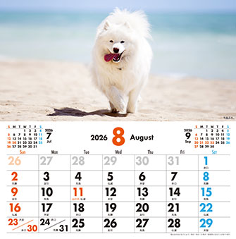 8月