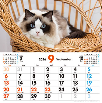 9月