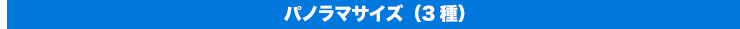 パノラマサイズ